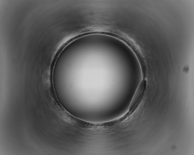 X0000098091174200804041213