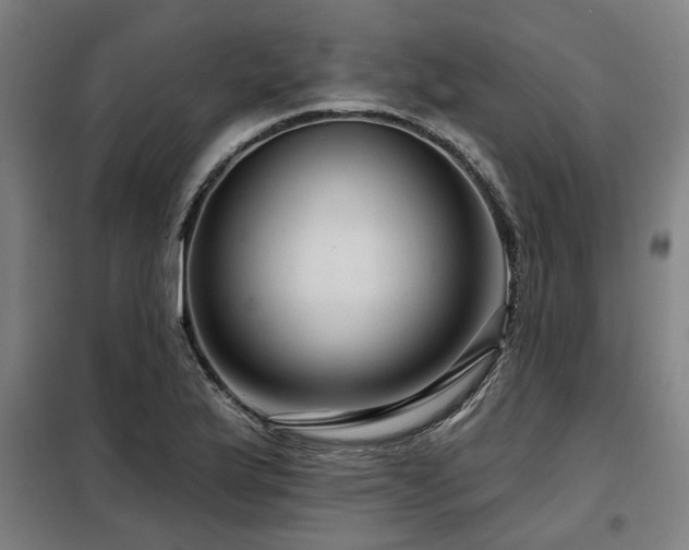 X0000098091175200804041213