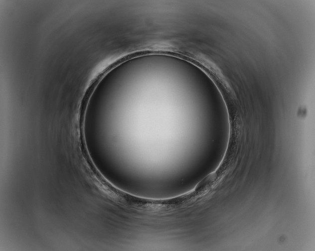 X0000098091176200804041213