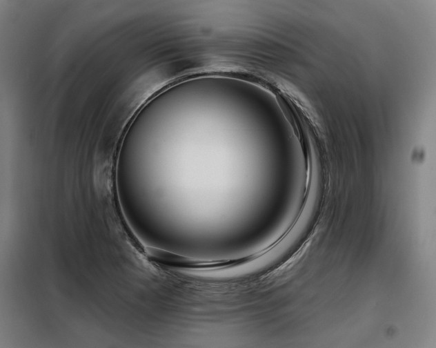X0000098091177200804041213
