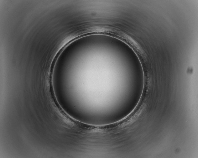 X0000098091178200804041213