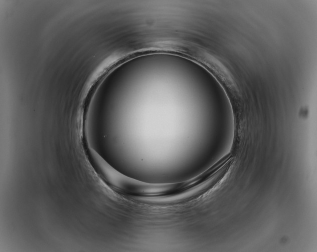 X0000098091180200804041213