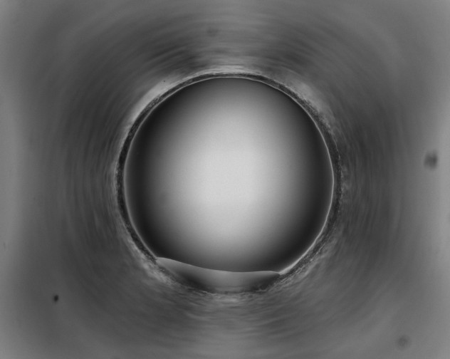 X0000098091181200804041213