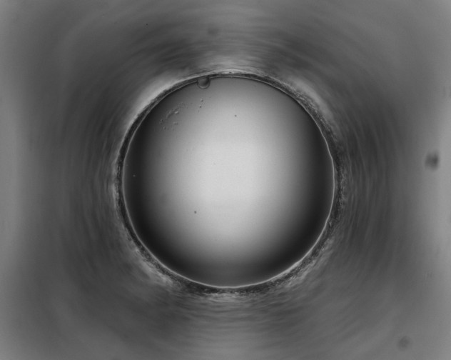 X0000098091182200804041213