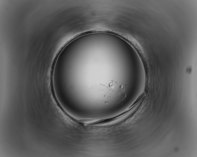 X0000098091183200804041213