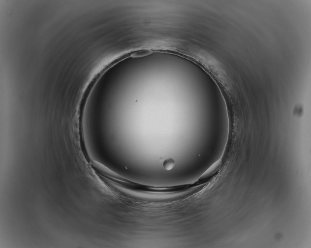 X0000098091184200804041213