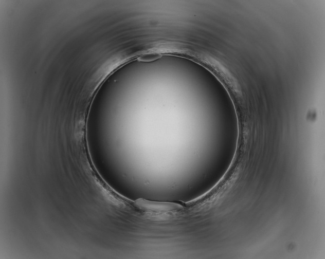 X0000098091185200804041213