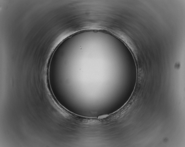 X0000098091187200804041213