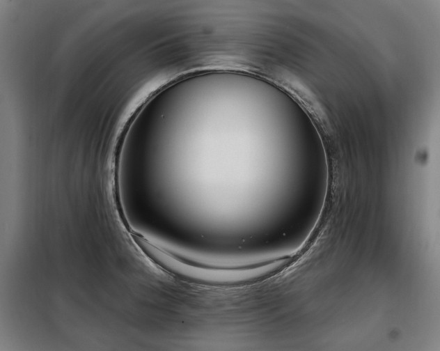 X0000098091188200804041213
