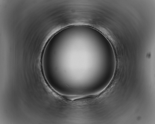 X0000098091189200804041213