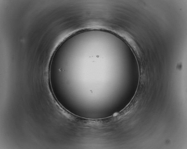 X0000098091191200804041213