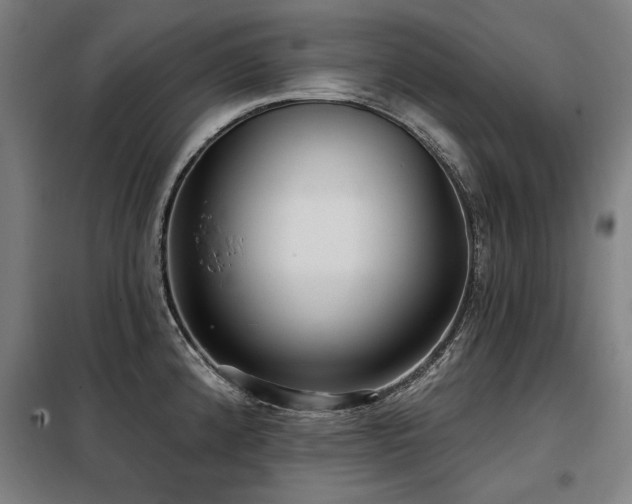 X0000098091192200804041213