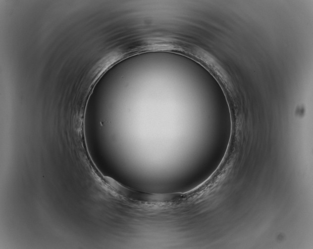 X0000098091193200804041213