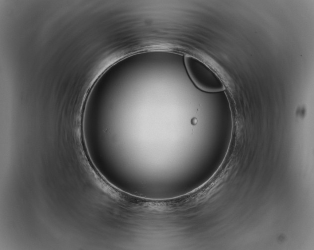 X0000098091194200804041213