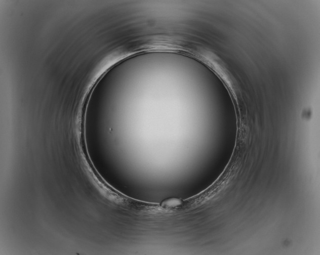 X0000098091195200804041213