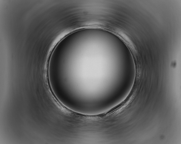 X0000098091196200804041213