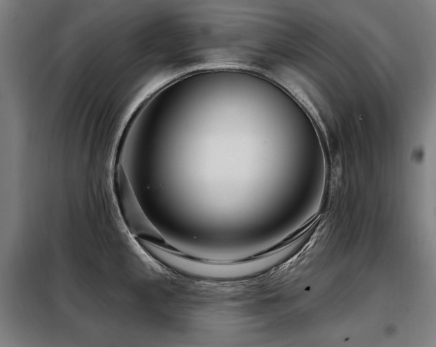 X0000098091197200804041213