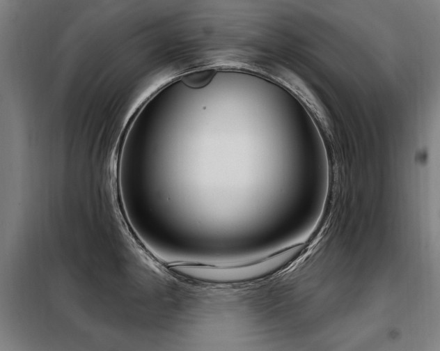 X0000098091198200804041213
