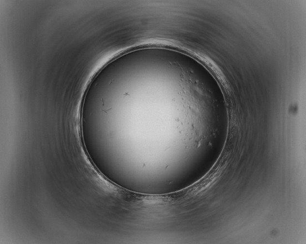 X0000098091199200804041213