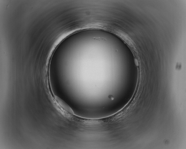 X0000098091200200804041213