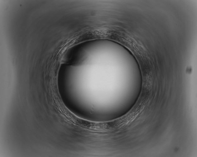 X0000098091201200804041212