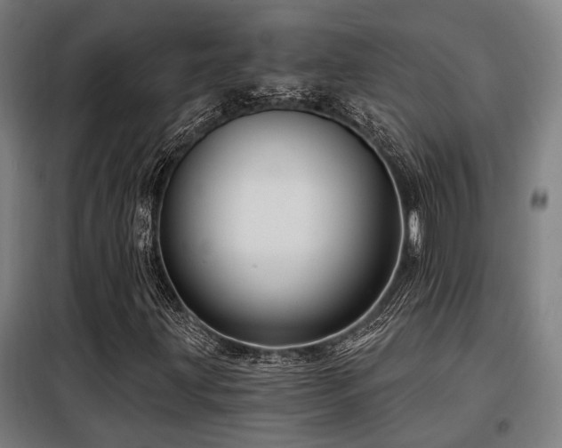 X0000098091203200804041212