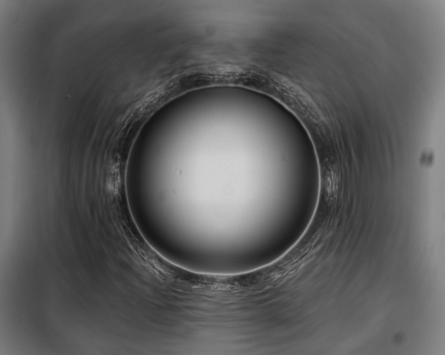 X0000098091204200804041212