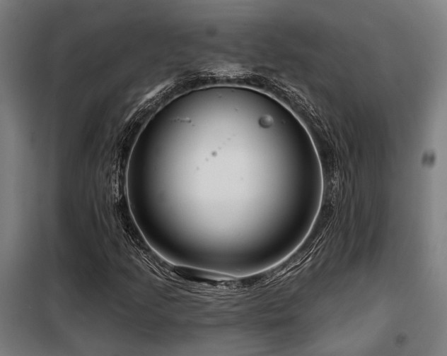 X0000098091205200804041212
