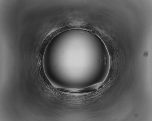 X0000098091206200804041212