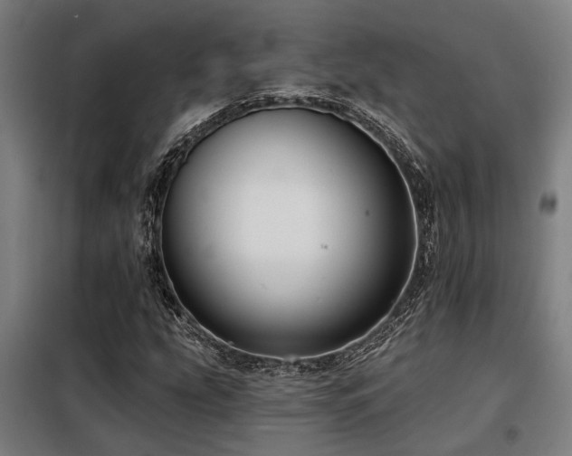 X0000098091207200804041212