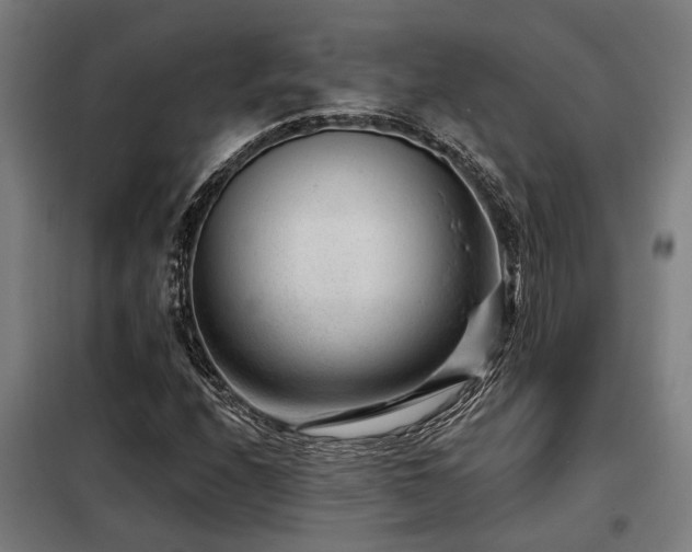 X0000098091208200804041212
