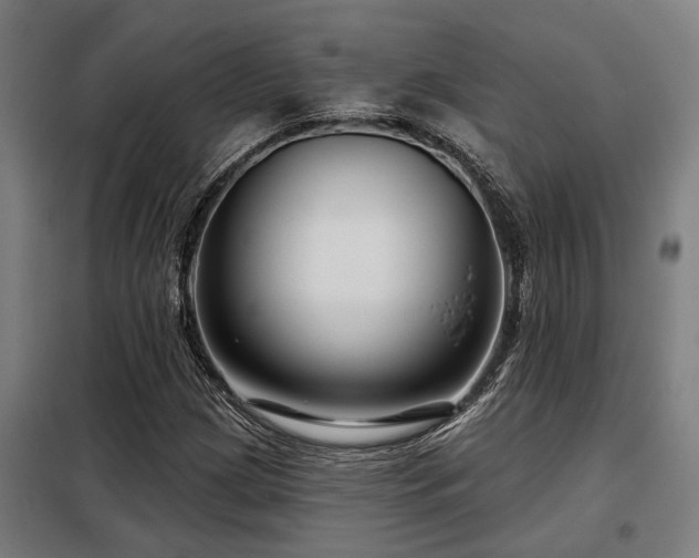 X0000098091209200804041212