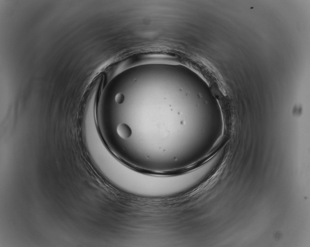 X0000098091210200804041212