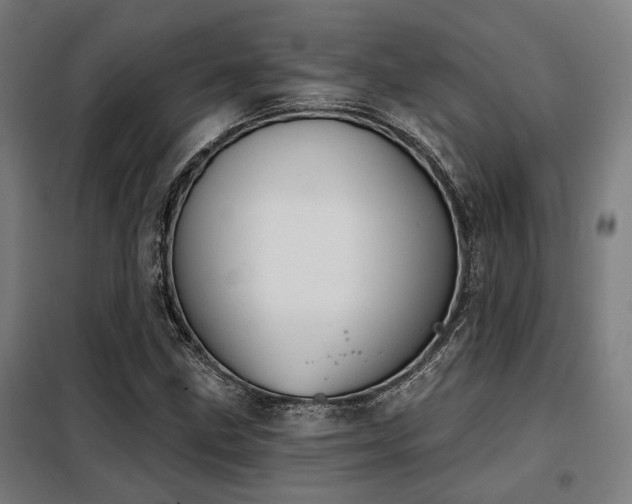 X0000098091211200804041212