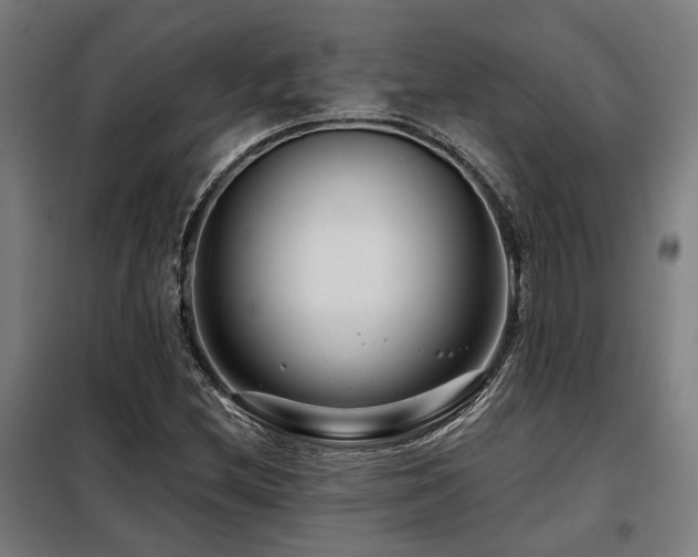 X0000098091212200804041212