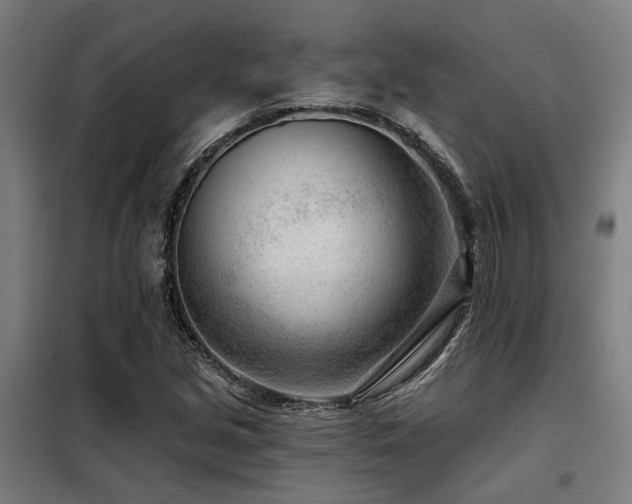 X0000098091213200804041212