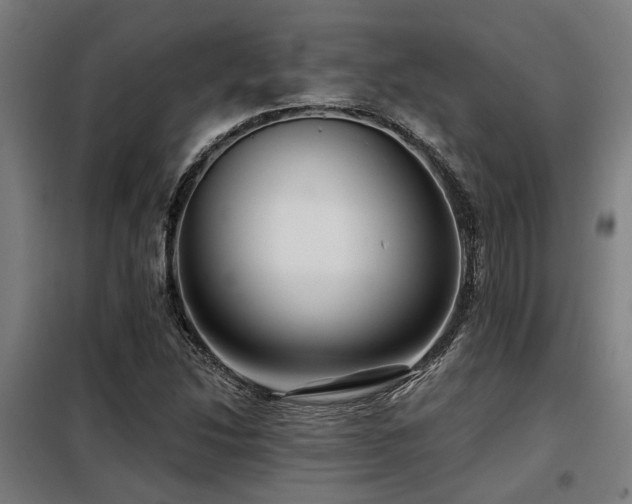 X0000098091214200804041212