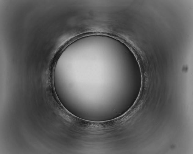 X0000098091215200804041212