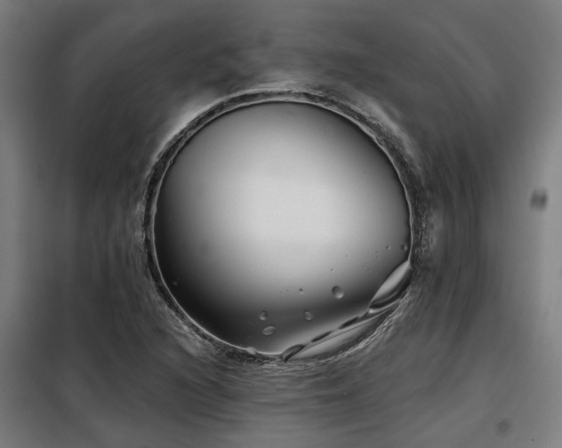 X0000098091216200804041212
