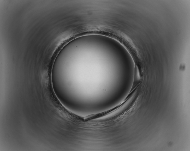 X0000098091218200804041212