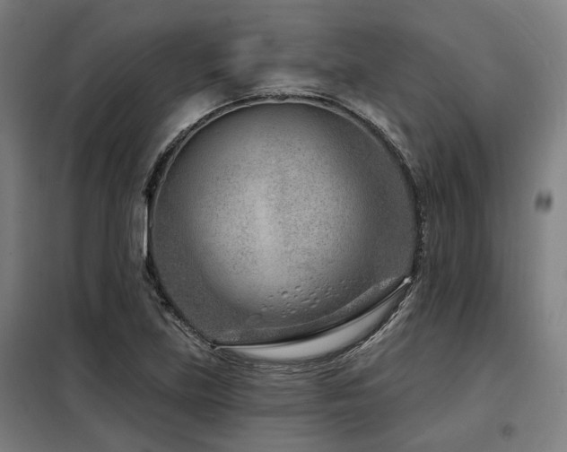 X0000098091219200804041212
