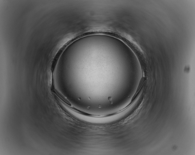 X0000098091221200804041212