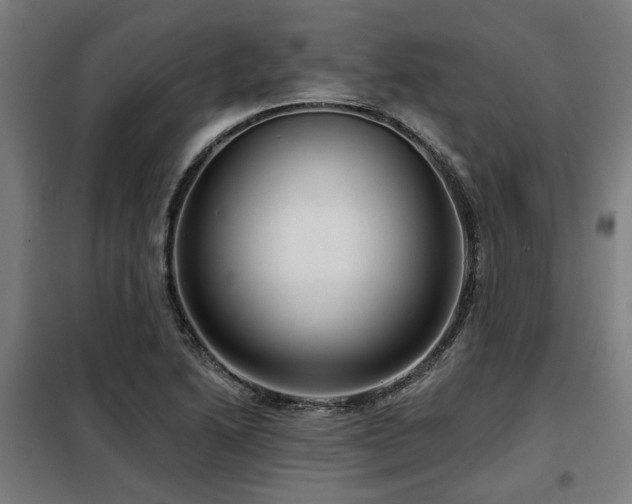X0000098091222200804041212