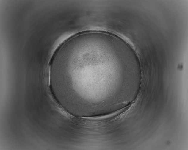 X0000098091223200804041212
