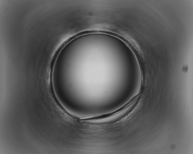X0000098091224200804041212