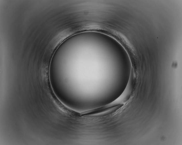 X0000098091225200804041212
