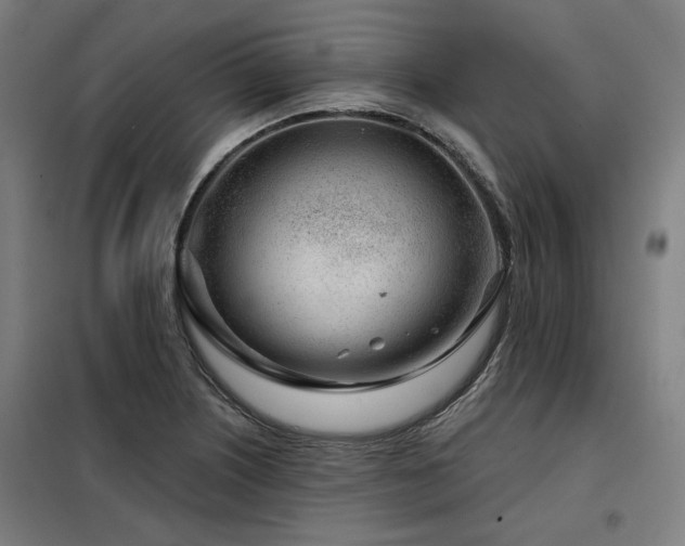 X0000098091226200804041212