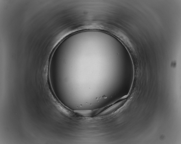 X0000098091228200804041212