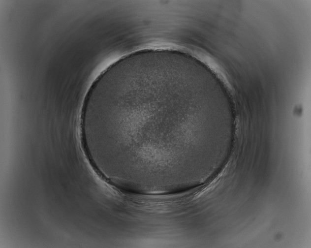 X0000098091229200804041212