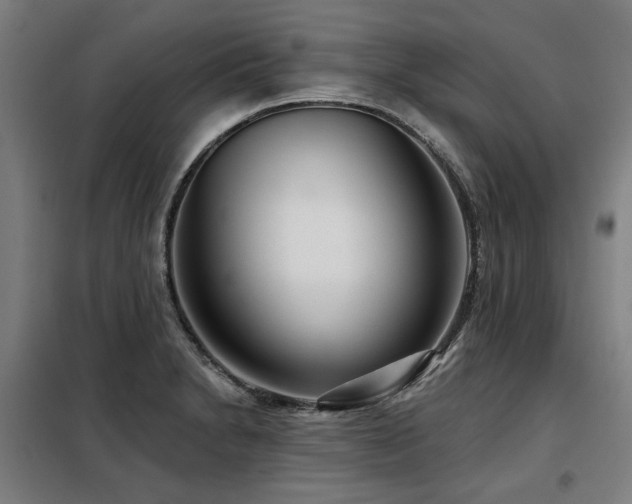 X0000098091230200804041212